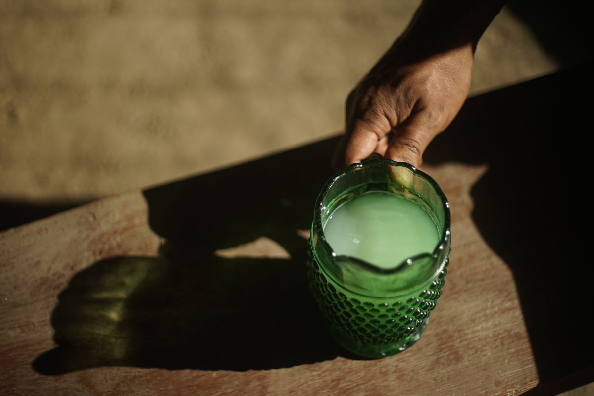 feria de las pulquerías tradicionales 2025 cdmx