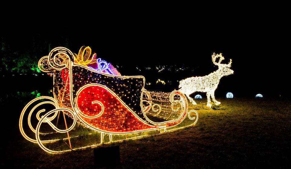 Trineo volador, un árbol que flota sobre el lago y figuras iluminadas en este bosque navideño