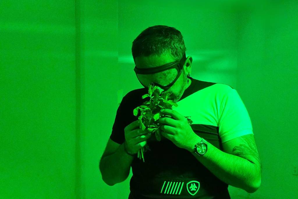 Sensorama CDMX 4 senses blindfolded experience