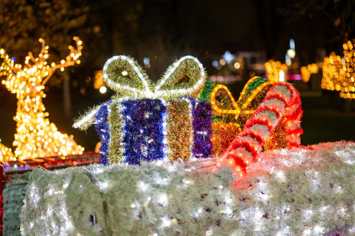 distrito polar puebla 2025