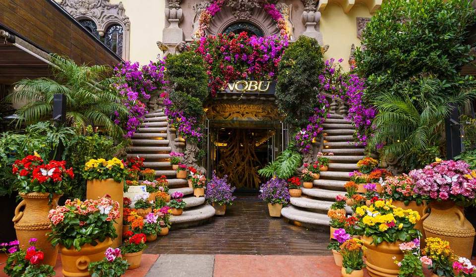 The Flower and Garden Festival 2026 in CDMX already has a date! This edition will last four days