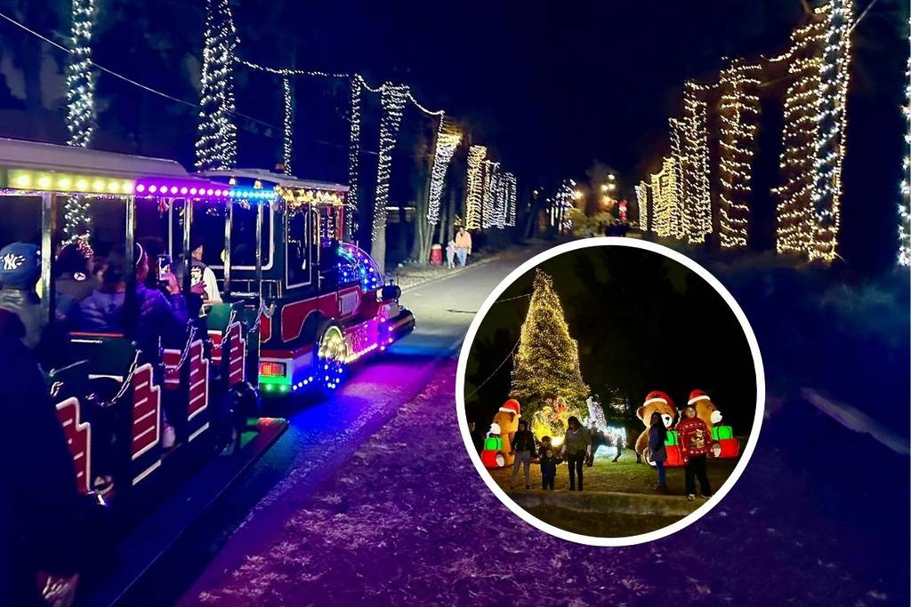 bosque navideño iluminado cdmx