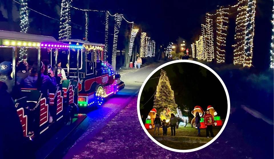 Villa navideña y bosque iluminado GRATIS en CDMX: disfruta un recorrido en este pueblito temático con figuras luminosas