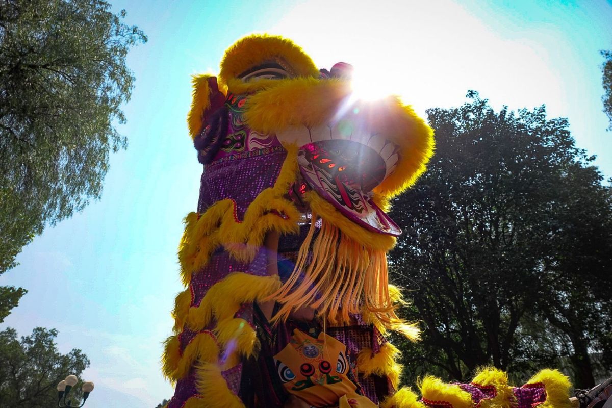 año nuevo chino cenart