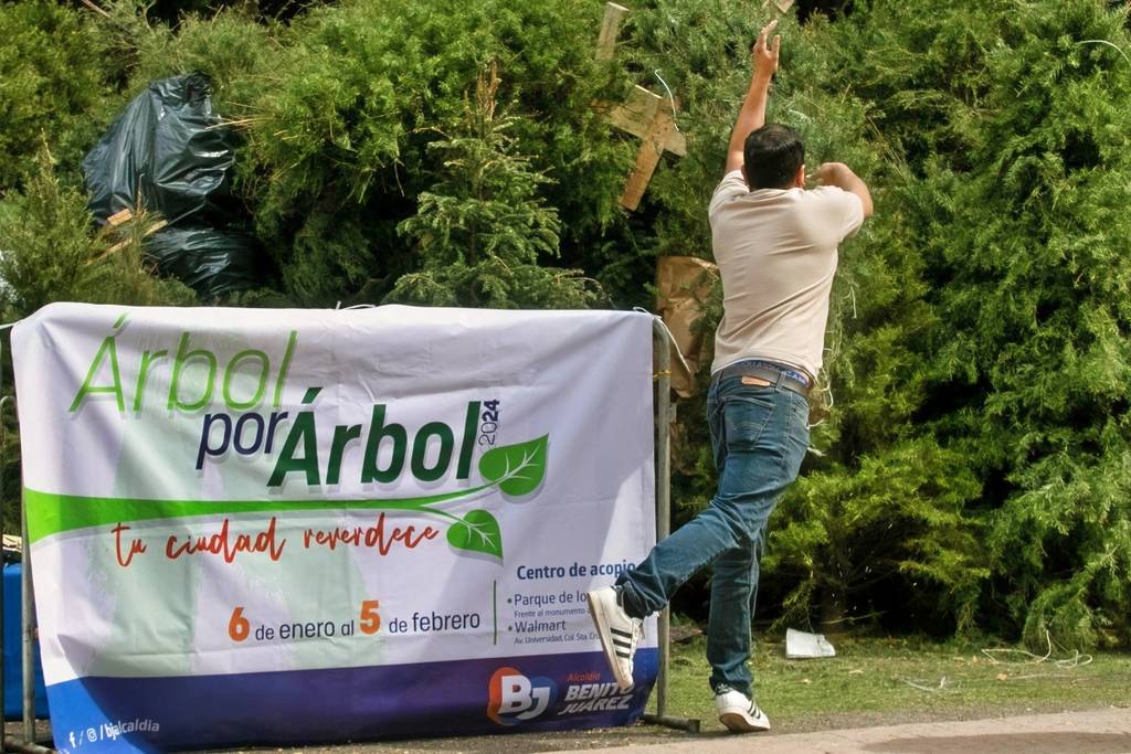 Centros de acopio árboles de Navidad CDMX 2026
