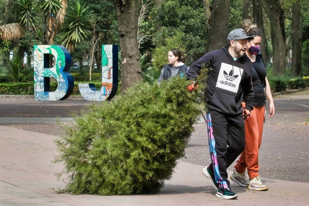 Centros de acopio árboles de Navidad CDMX 2026