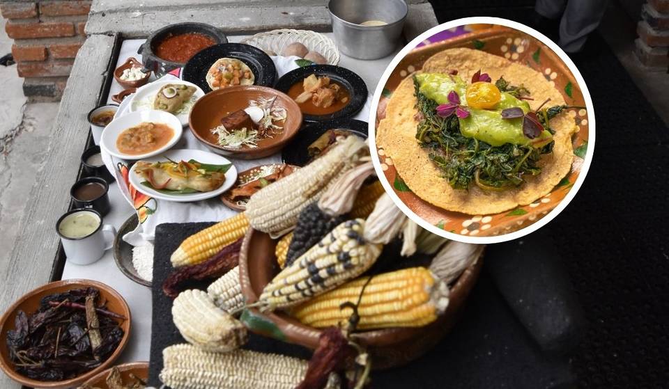 96 platillos hechos por cocineras tradicionales de México: así será el festival Fogones MX en CDMX