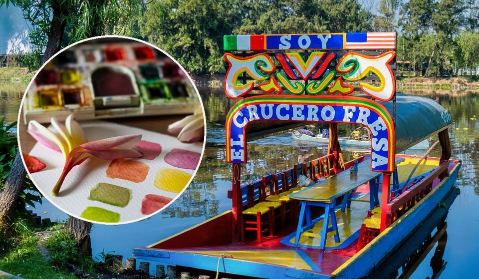 Vive un Taller de Acuarela en Trajinera: Arte, Naturaleza y Paisaje en Xochimilco