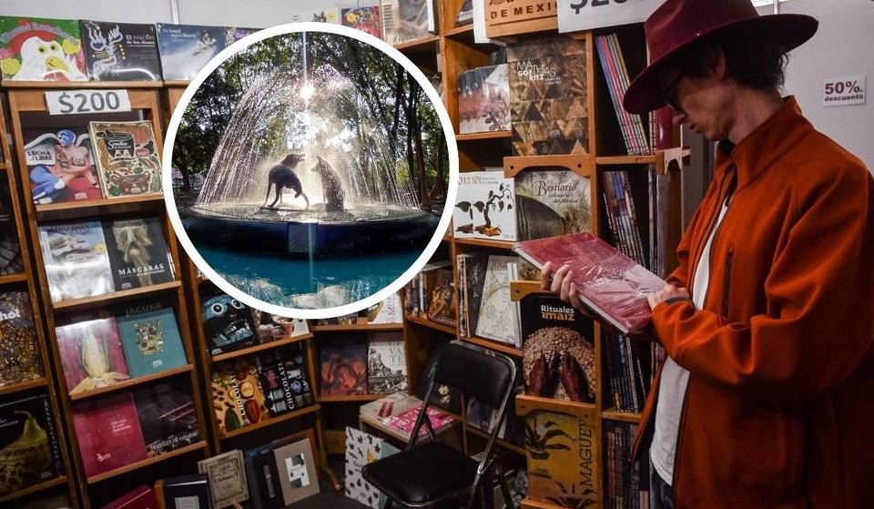 Coyoacán se convertirá en una megalibrería con la Feria del Libro 2026: habrá exposiciones gratuitas, talleres y más