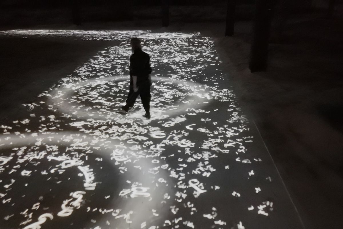 jardin iluminado rafael lozano mam