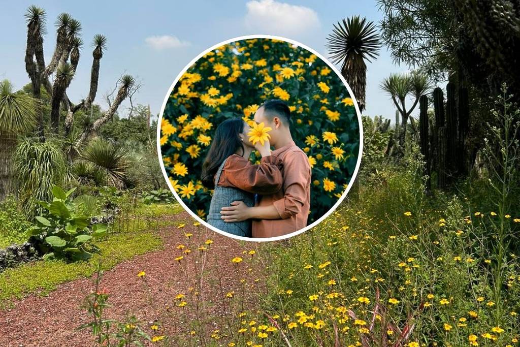 san valentín jardín botánico UNAM