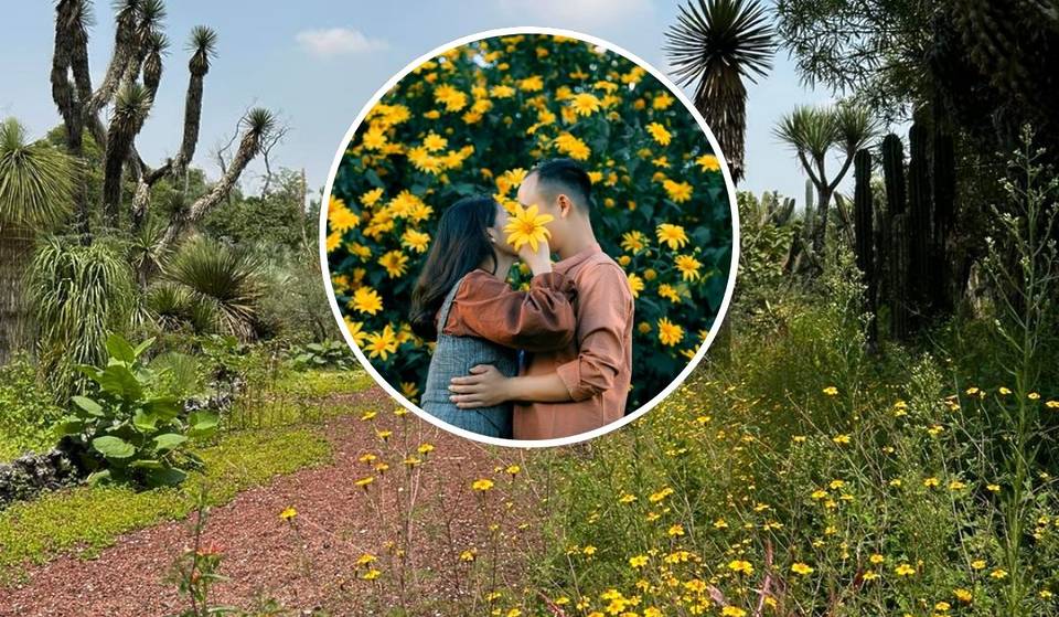 «Tu olfato será el protagonista»: el Jardín Botánico de la UNAM celebrará San Valentín con un recorrido de aromas