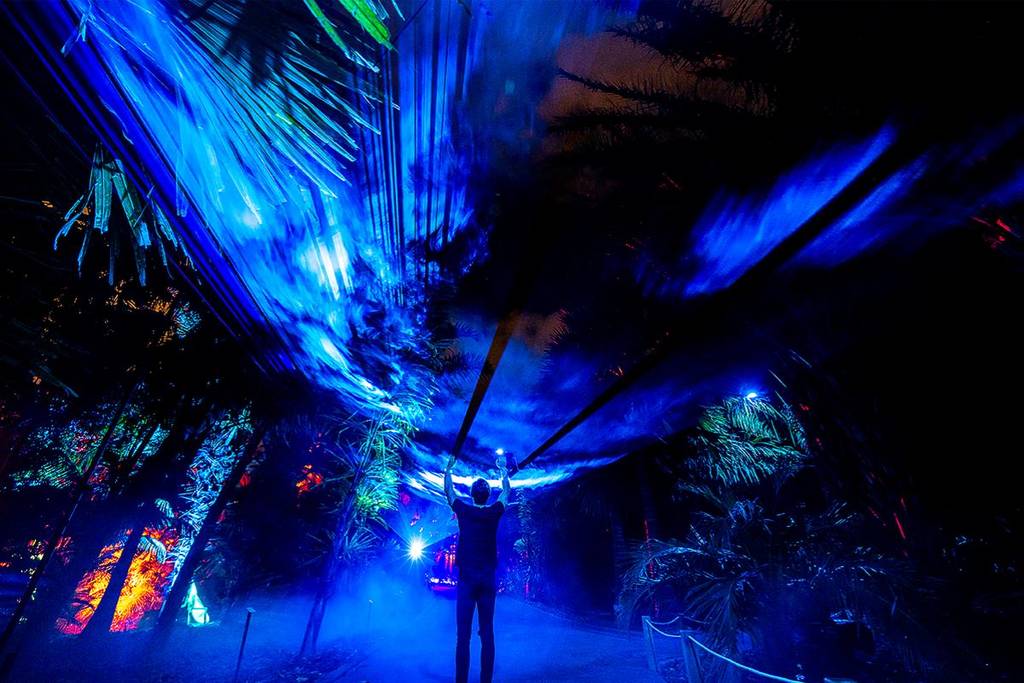 Alicia recorrido nocturno País de las Maravillas CDMX experiencia