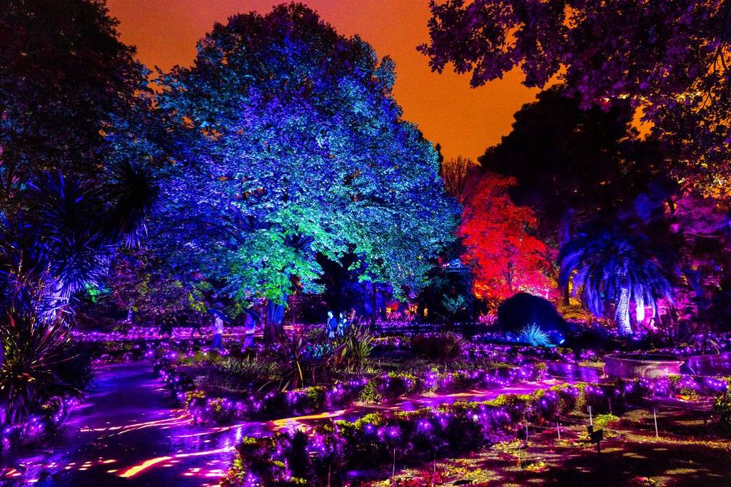 Alicia recorrido nocturno País de las Maravillas CDMX experiencia