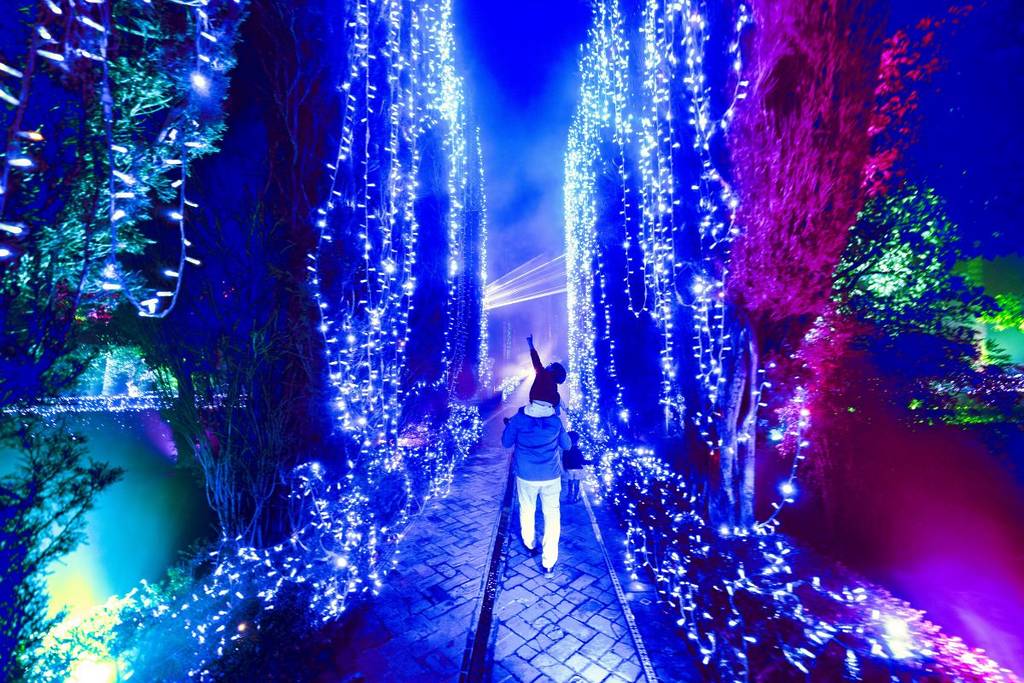 Alicia recorrido nocturno País de las Maravillas CDMX experiencia