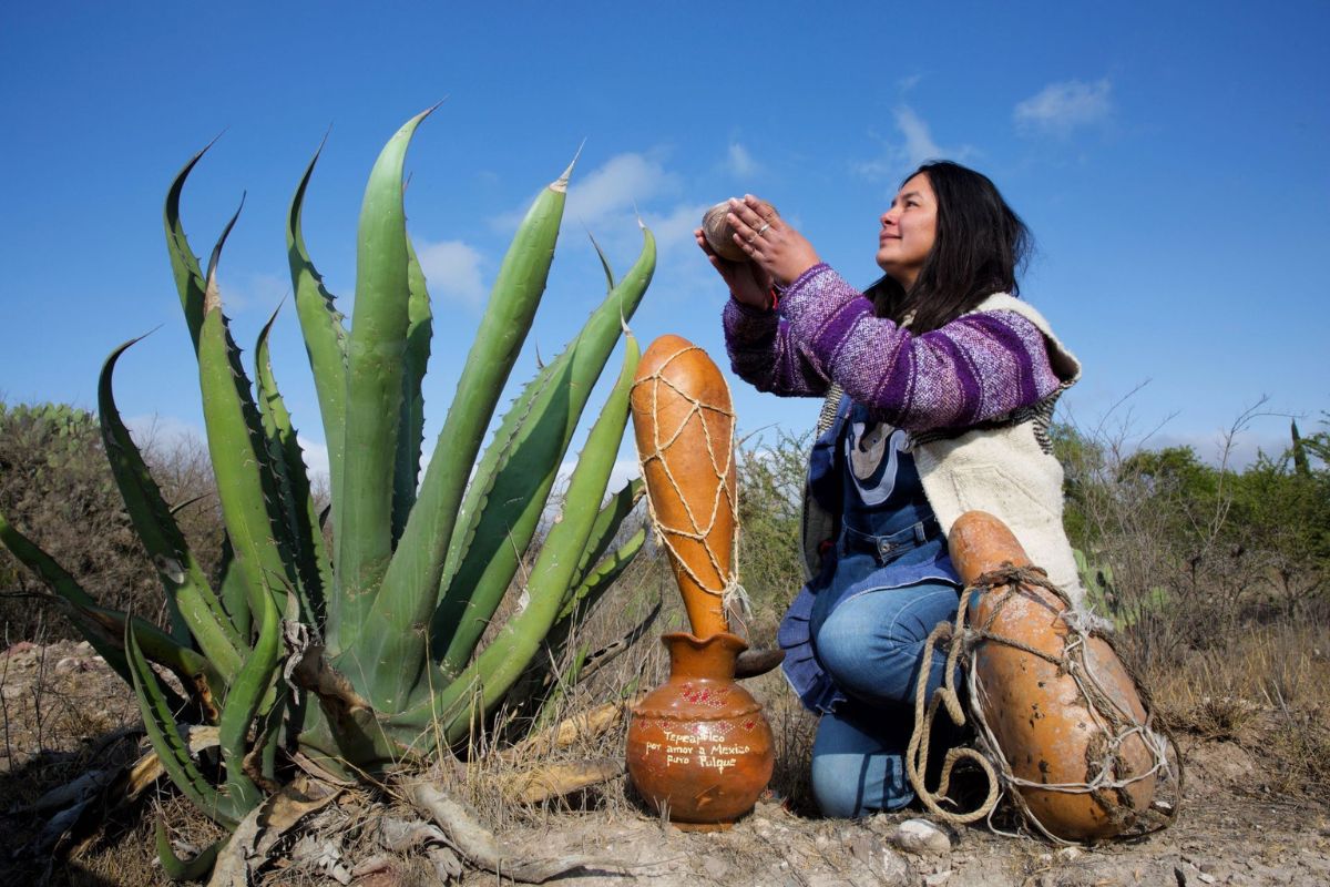 cuándo es el día del pulque
