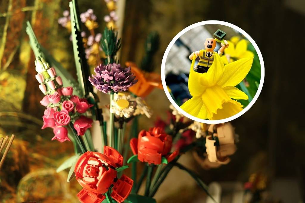 LEGO flower experience cdmx