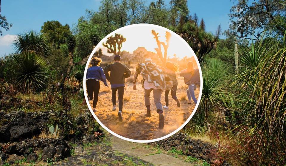 Valentine’s Day at the IBUNAM Botanical Garden: the plan for singles where you could meet your soulmate.