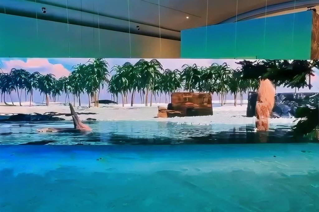 Exposiciones LagoAlgo