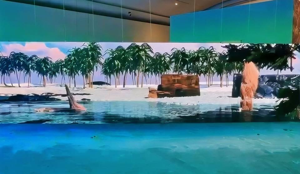 ¿Qué tan real es la realidad? Dos exposiciones en LagoAlgo lo ponen en duda
