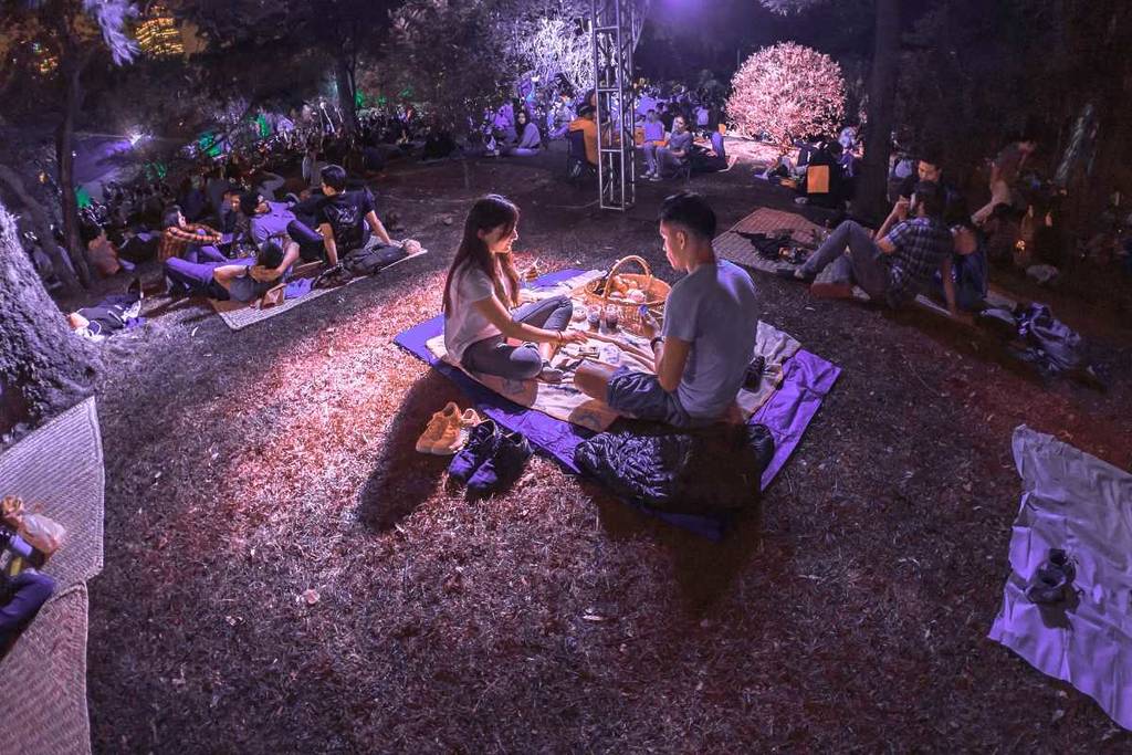 Night picnic in Chapultepec for Love and Friendship Day