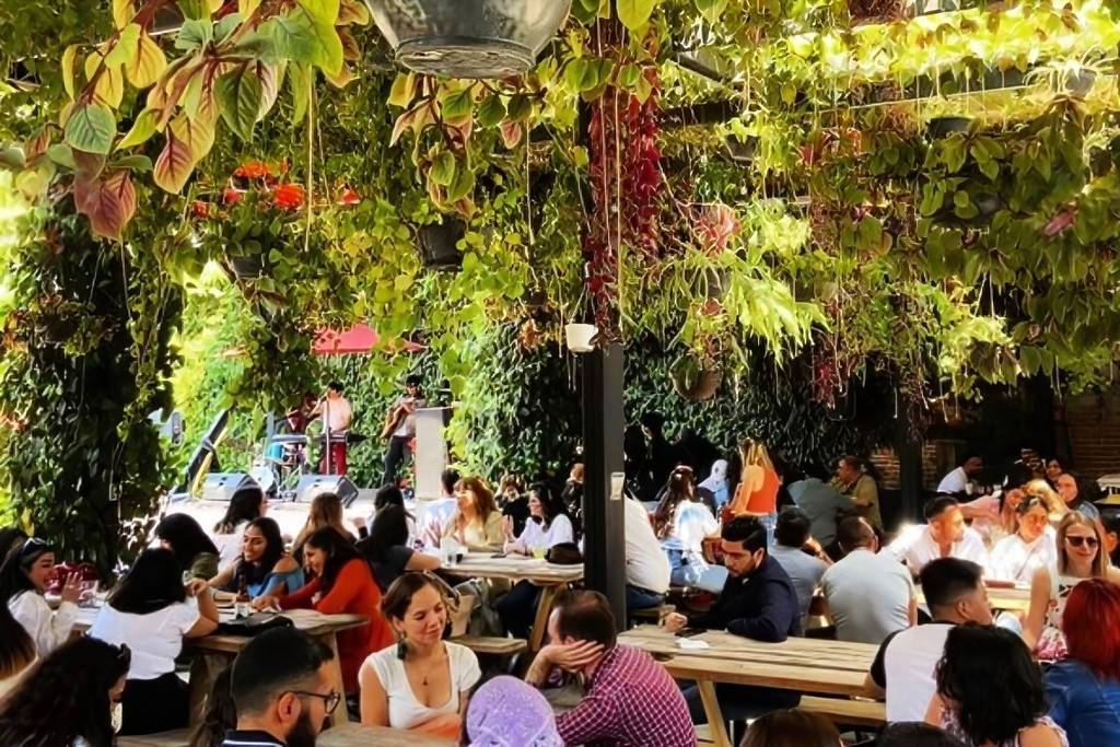 Fiesta de la Cerveza