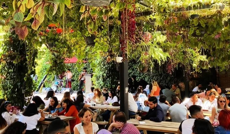 Jardín Juárez estrena la Fiesta de la Cerveza 2026 en CDMX con 30 cervecerías