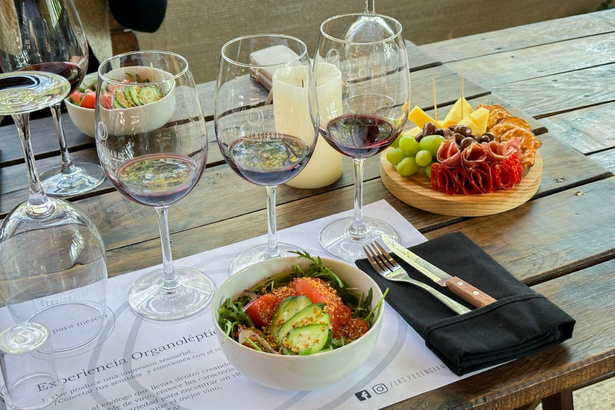 experiencia vinos las pudencianas cdmx