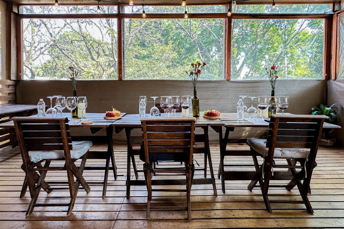 creación de vino las pudencianas cdmx