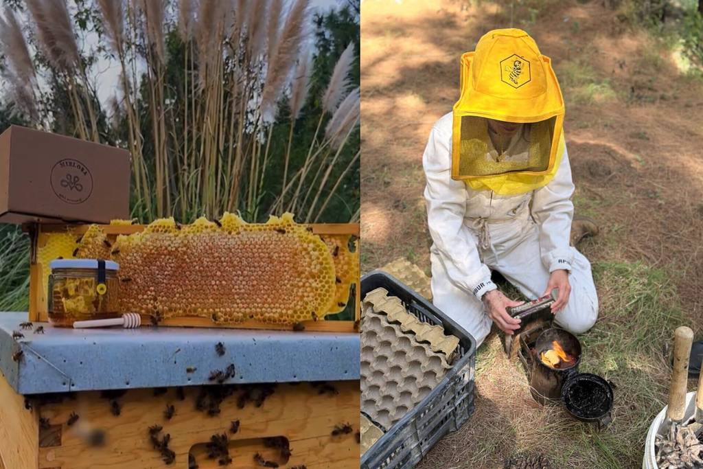 Cata de miel en CDMX por Mielosa