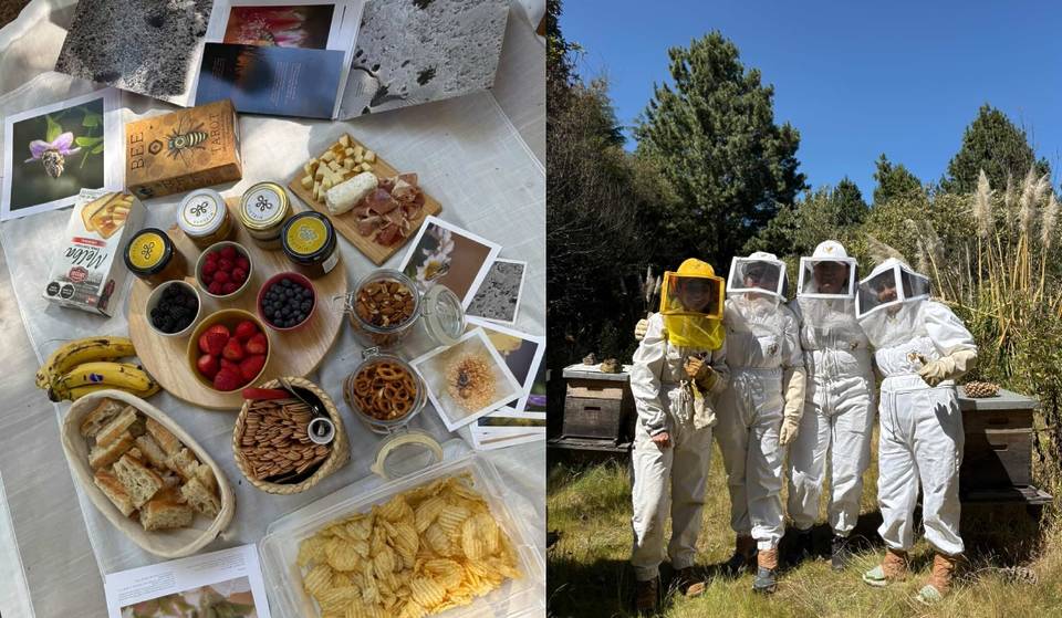 Cata de miel, colmenas y picnic: la experiencia apícola que puedes vivir en CDMX