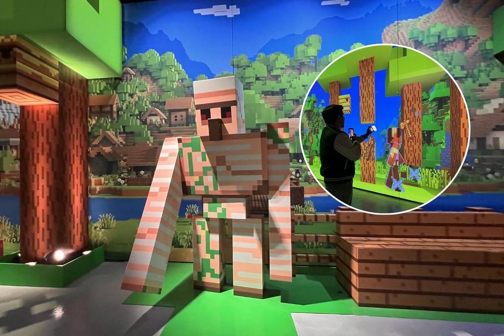 Minecraft Experience