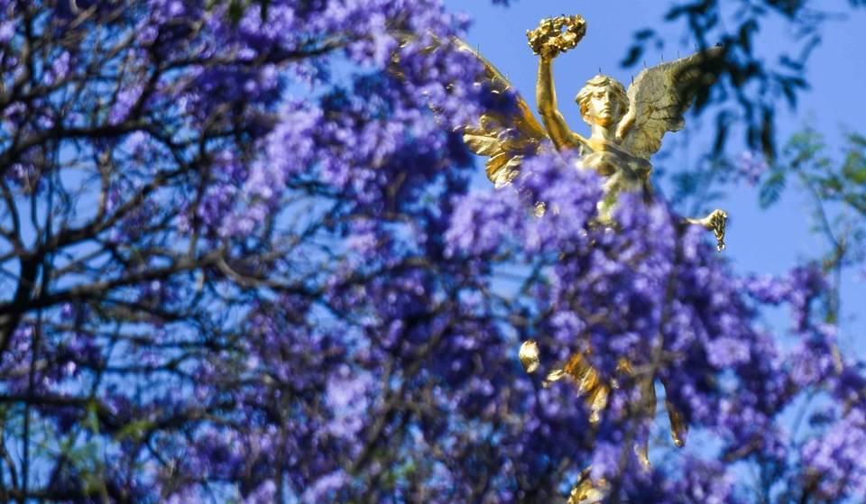 Eventos durante marzo 2026 en CDMX: todo lo que puedes hacer durante el mes para divertirte