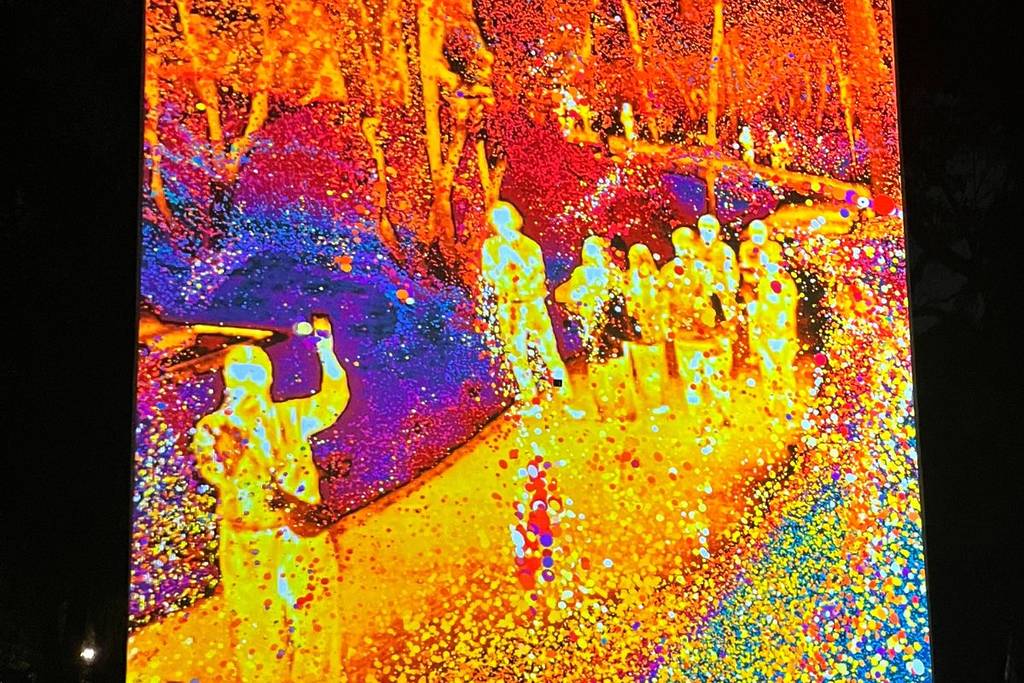 Rafael Lozano-Hemmer: Jardín Inconcluso Museo de Arte Moderno MAM