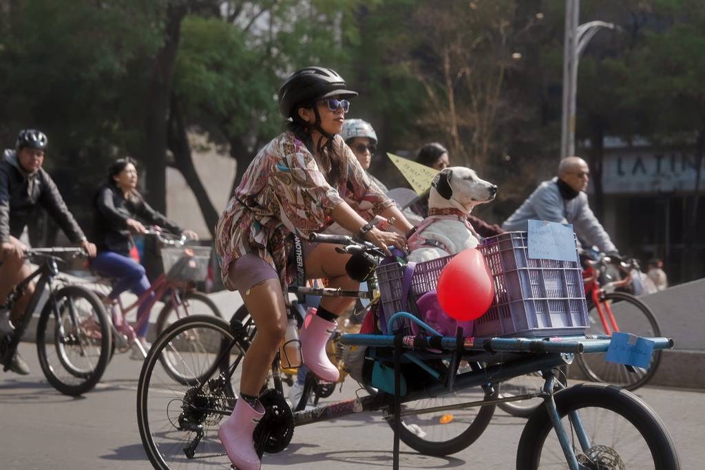 Caravana de adopción de La Perra Vibra