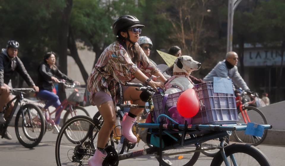 El plan más ‘guau’ del domingo: Lomitos desfilarán en bicicletas cargo en Reforma para encontrar una familia