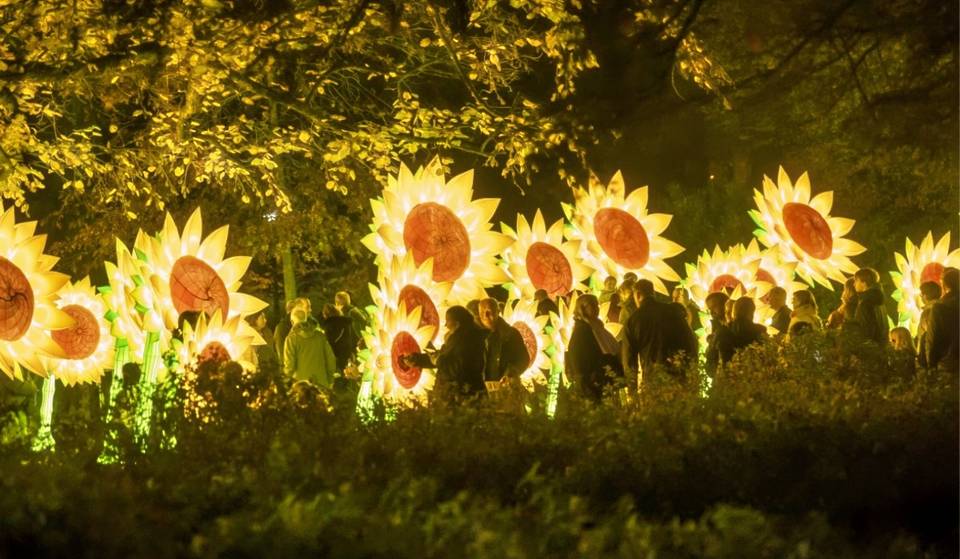 Glow México llega a Puebla: El impresionante festival europeo de luz que estará gratis a 2 horas de CDMX