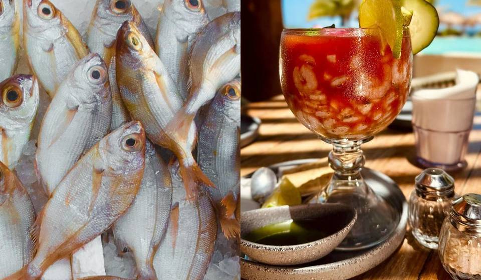 Así puedes identificar mariscos y pescado en mal estado y asegurar la calidad de tu comida durante la Cuaresma 2026, según la Profeco