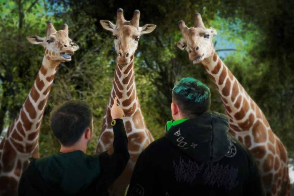 Hologram Zoo