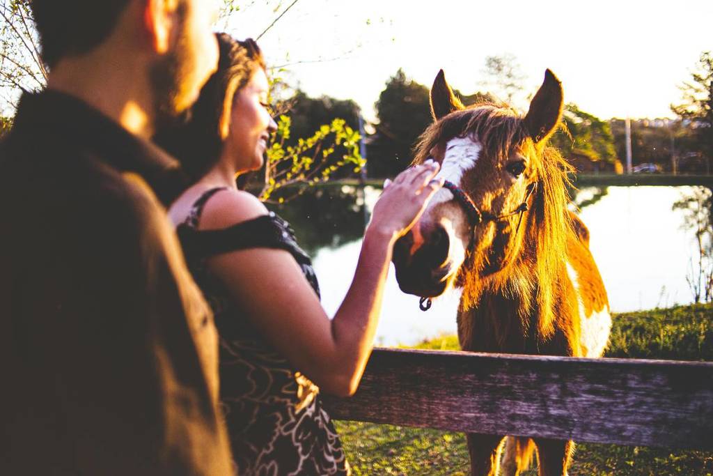 Entre vacas y flores: primavera en Rancho La Hondonada