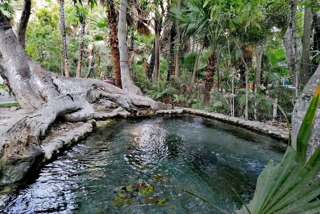 balneario las huertas morelos