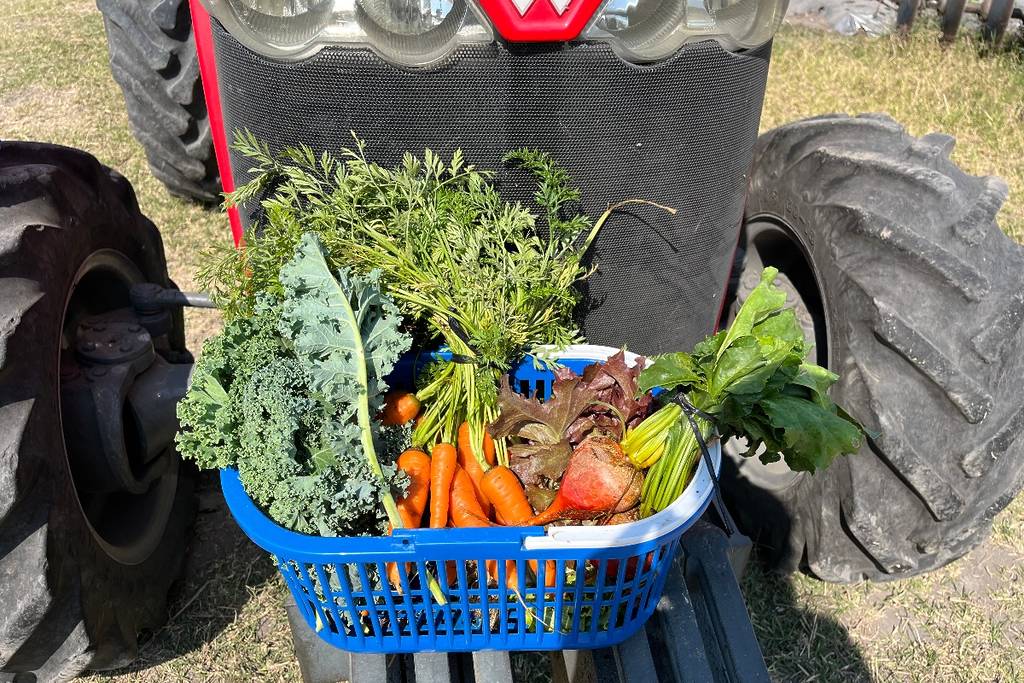 Ni mercado ni supermercado: este rancho cerca de CDMX te deja cosechar fresas y verduras frescas