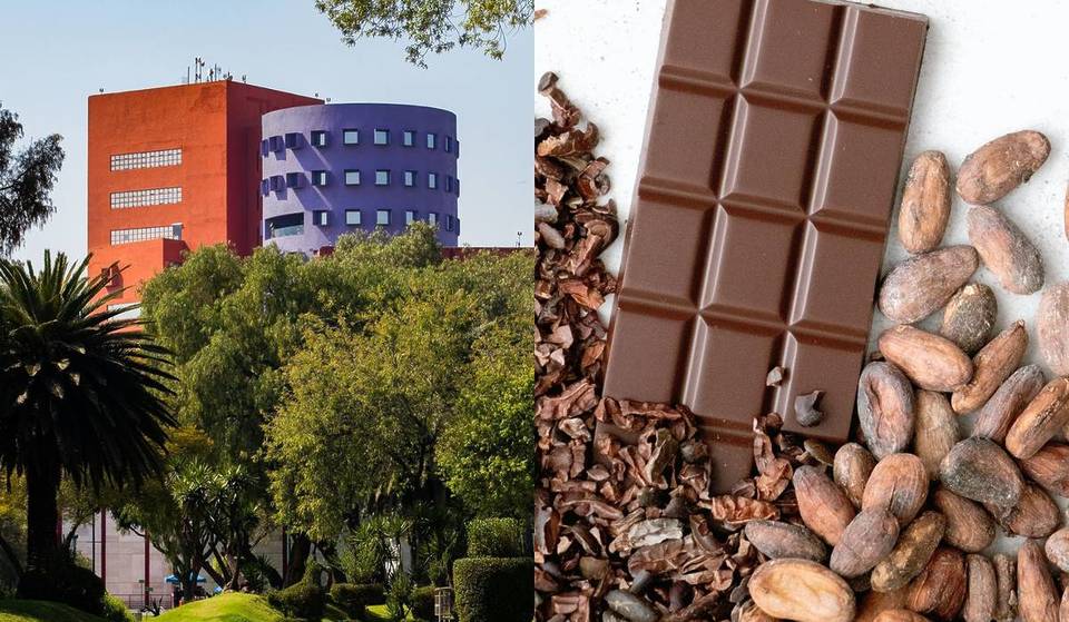 Maratón de danza, chocolate y música gratis en el Cenart: fechas y todo lo que habrá en este evento de 3 días