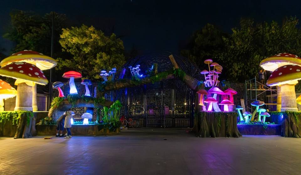 The Chapultepec Forest Festival returns in 2026 with a nighttime picnic and fountain displays: check out all the activities