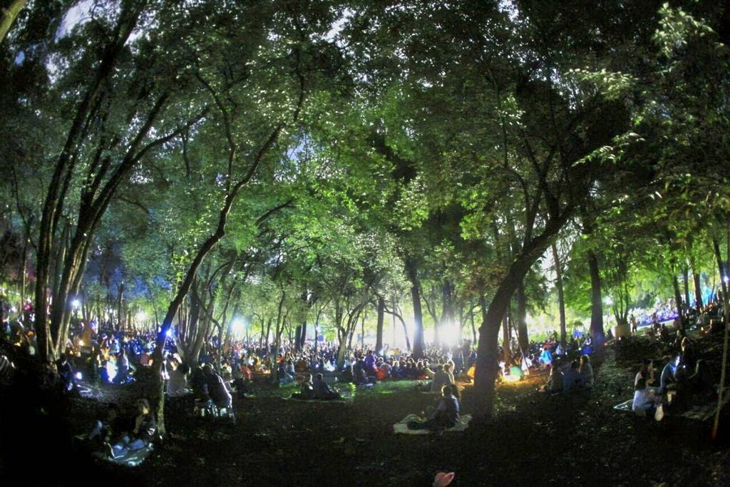 Aqüifera Night Picnic