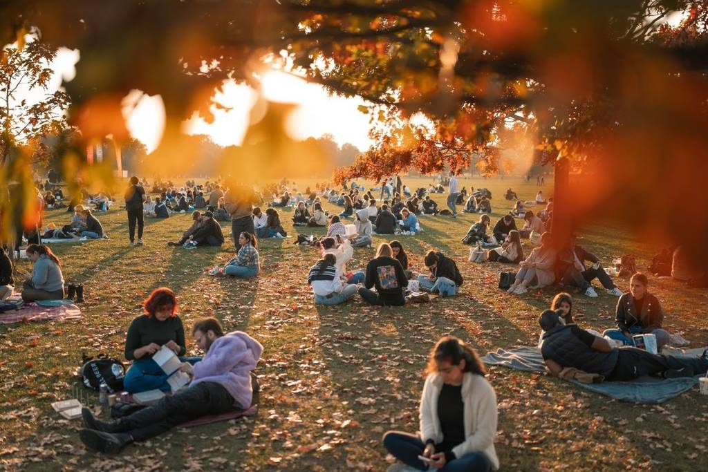Water Lantern Festival Parque Ecológico Xochimilco