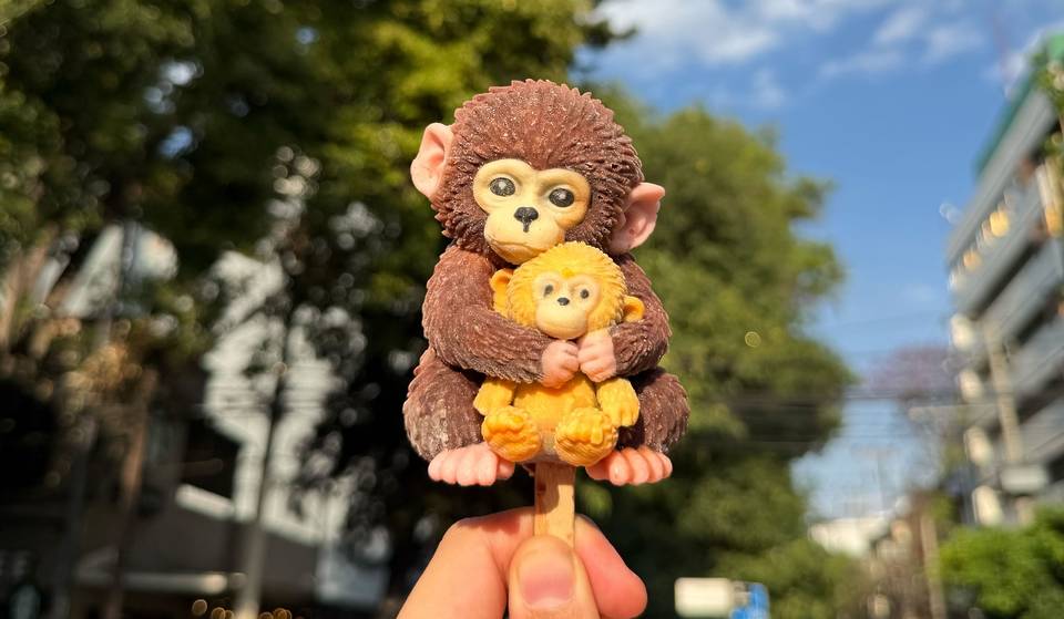 Hay una paleta del monito Punch en CDMX: te contamos dónde encontrarla
