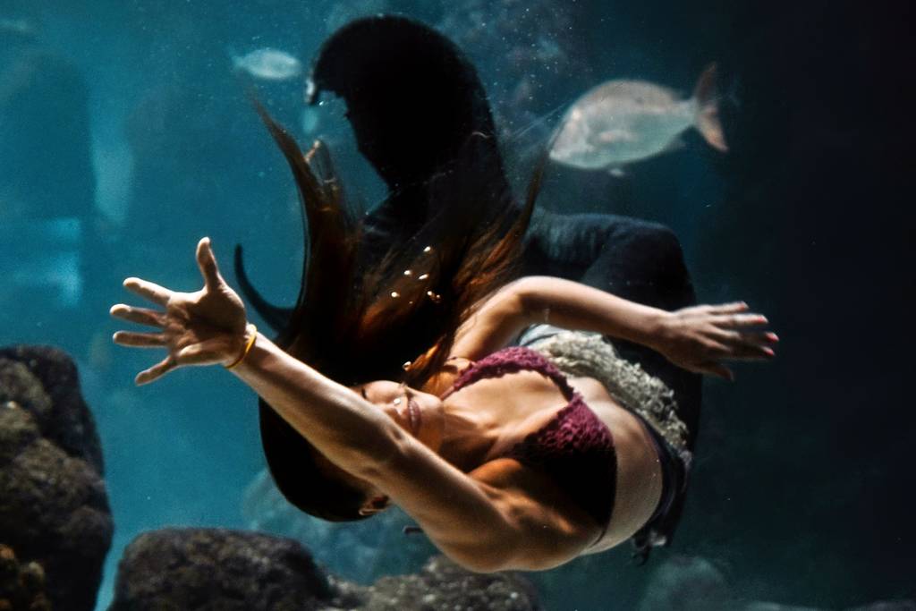 Mermaids at Inbursa Aquarium