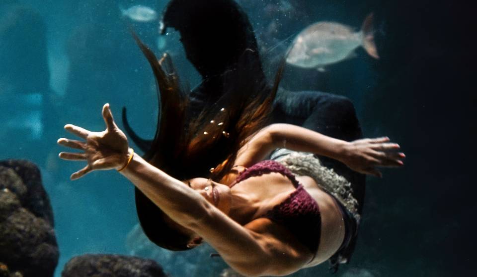 ¿Sirenas en la CDMX? El espectáculo de sirenas y tritones que podrás ver en el Acuario Inbursa esta Semana Santa