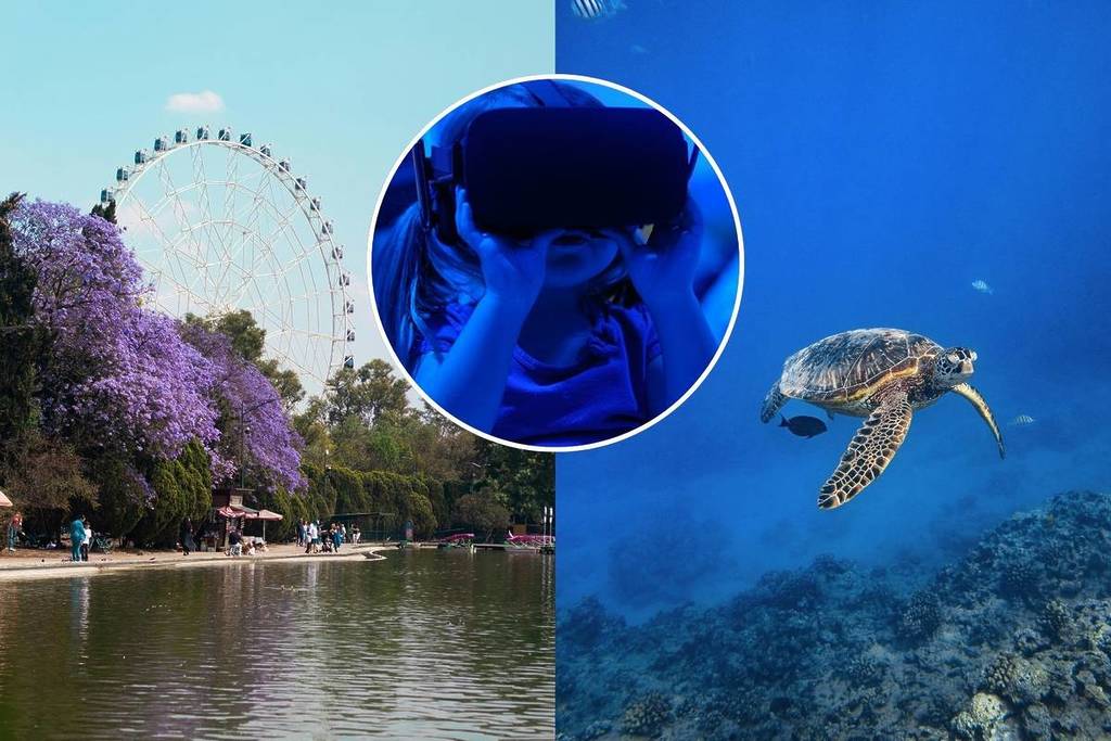 experiencia del océano bosque de chapultepec the blu